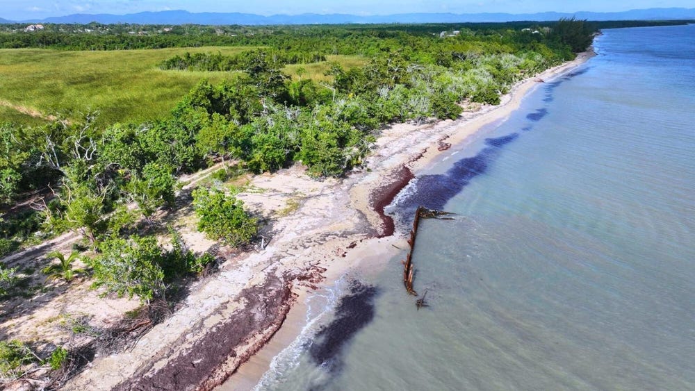 OLD HOPE | LITTLE LONDON, Old Hope, Westmoreland