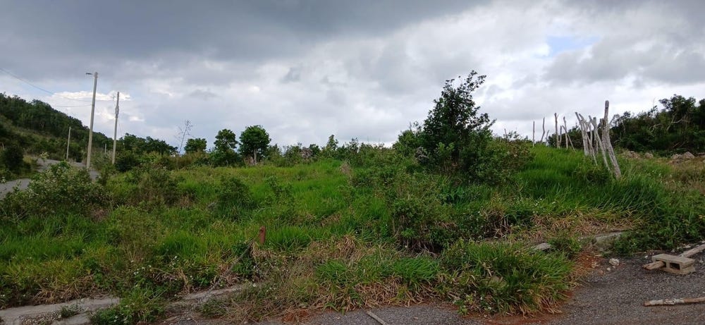 UPPER LINCOLN, MANCHESTER