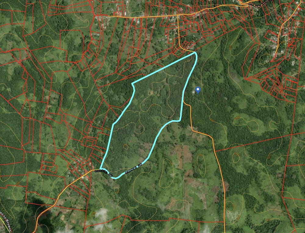 MAMMEE RIDGE, HIGGIN TOWN, ST. ANN