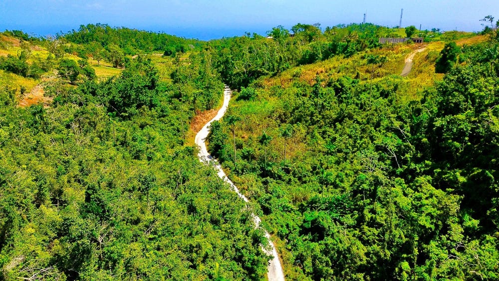 170 B LILLYFIELD AND ELGIN HALL, Bamboo, St. Ann