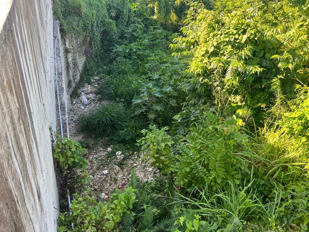 24 WILMOT BOULEVARD, Moneague, St. Ann