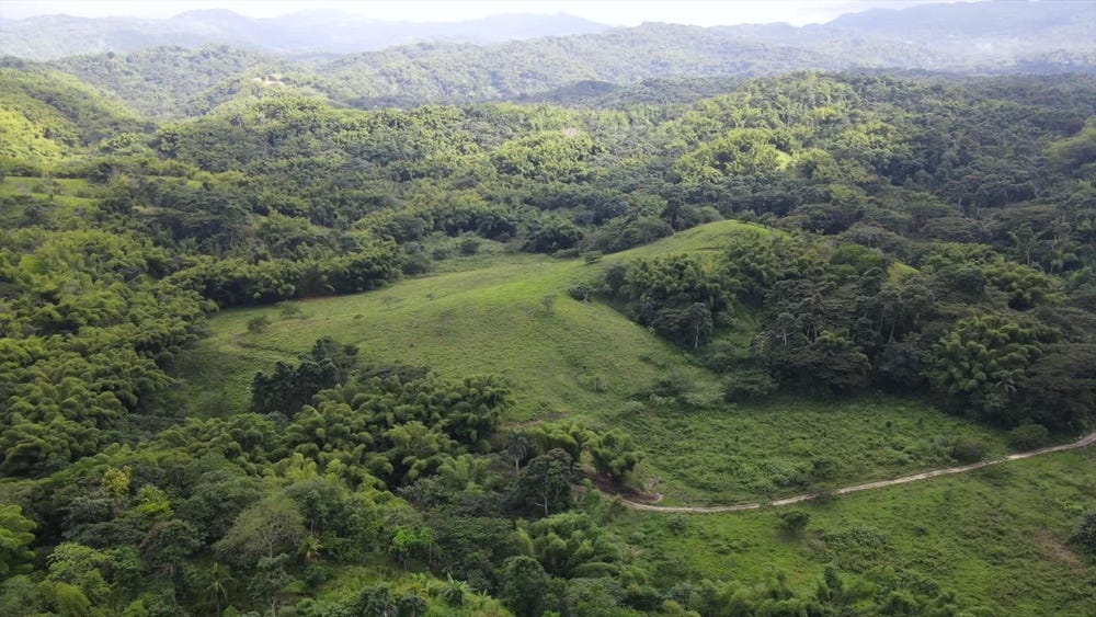 B9, Riley, Hanover Parish