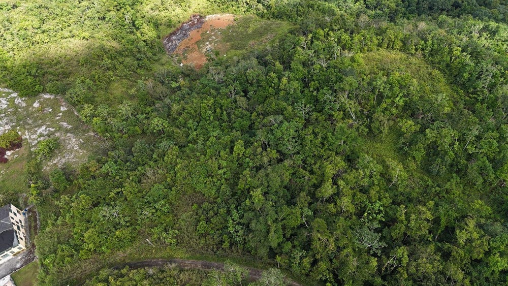 COOPERS HILL, Red Hills, St. Andrew