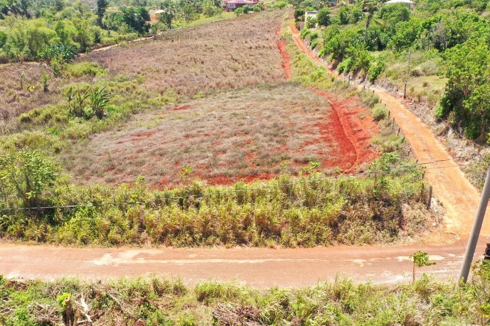 POTSDAM, MUNROE, ST ELIZA, Munroe College, St. Elizabeth