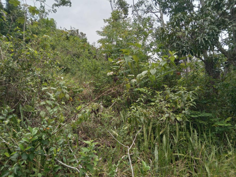 WELCOME, ALEXANDRIA ST. A