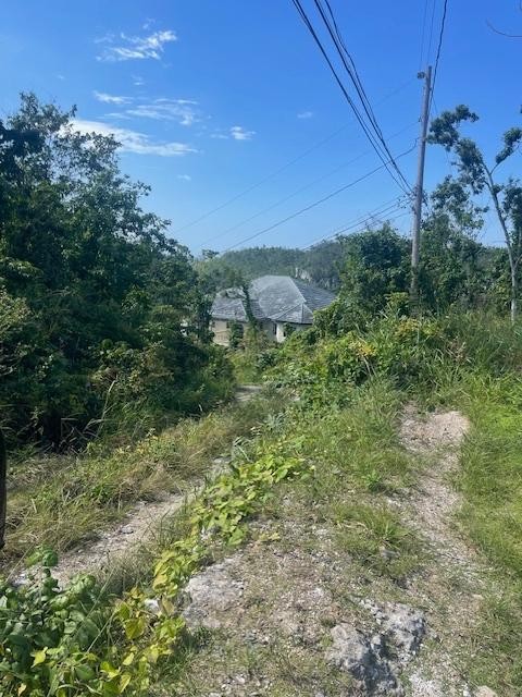 7 HUNTLEY, Browns Town, St. Ann