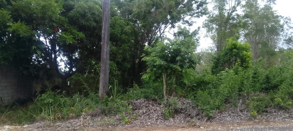 TORADA HEIGHTS, IRONSHORE