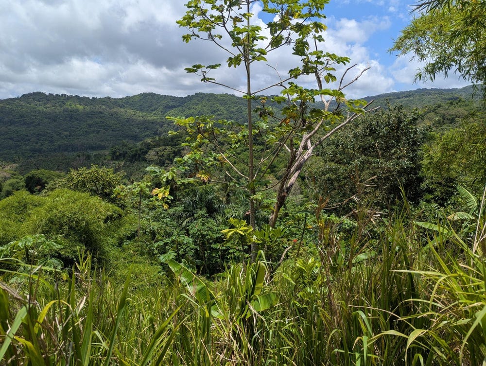 COXPIECE PEMBROKE HALL