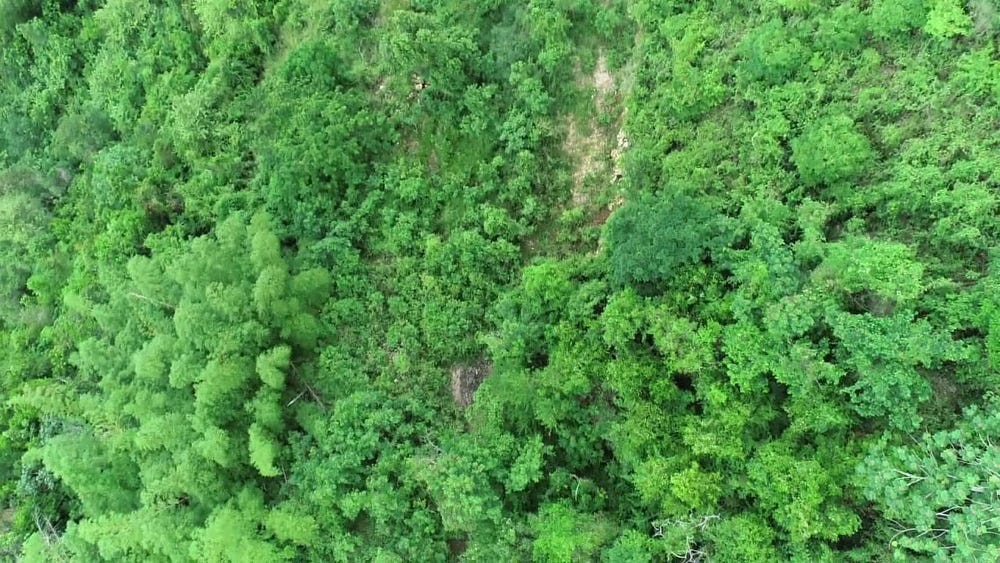 216 Pegasus Place, Smokey Vale, Kingston 19, Stony Hill, Saint Andrew, Stony Hill, Saint Andrew