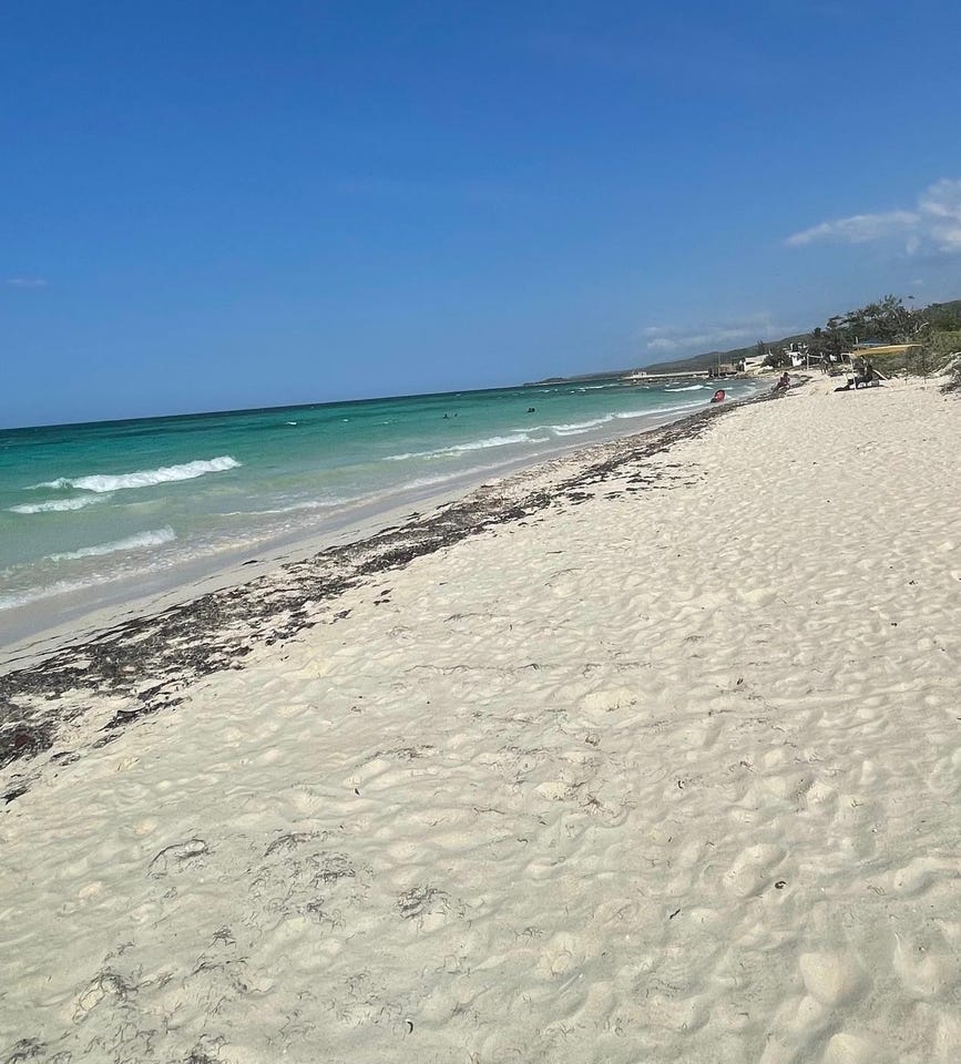 433 CALABASH WAY, DUNCANS BAY, Duncans, Trelawny