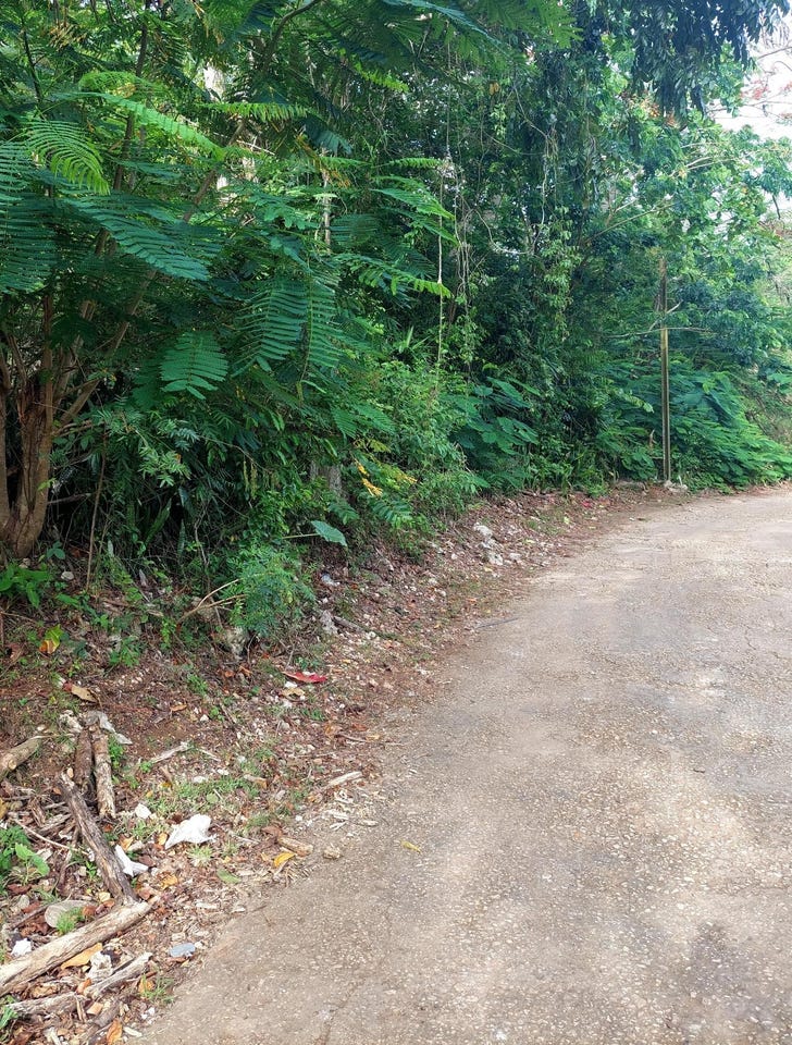 CHERRY CL. MAVERLY MOUNTA