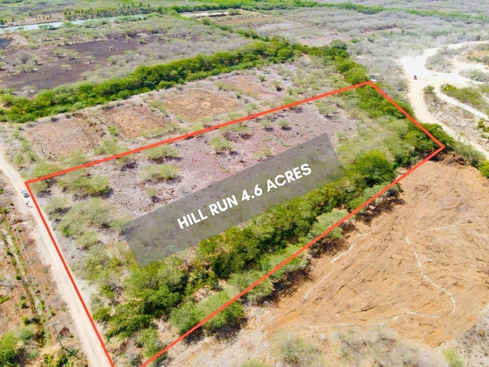 HILL RUN, ST. CATHERINE