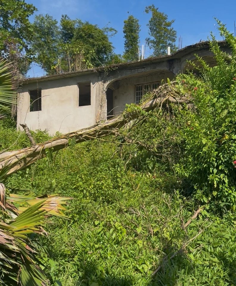 CHRISTIAN FIELD, MOUNT PL