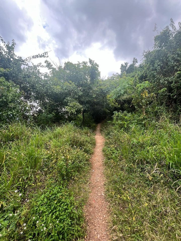 ST MICHAEL TERRACE Kingston & St. Andrew Red Hills, Red Hills, Saint Andrew, Red Hills, Saint Andrew