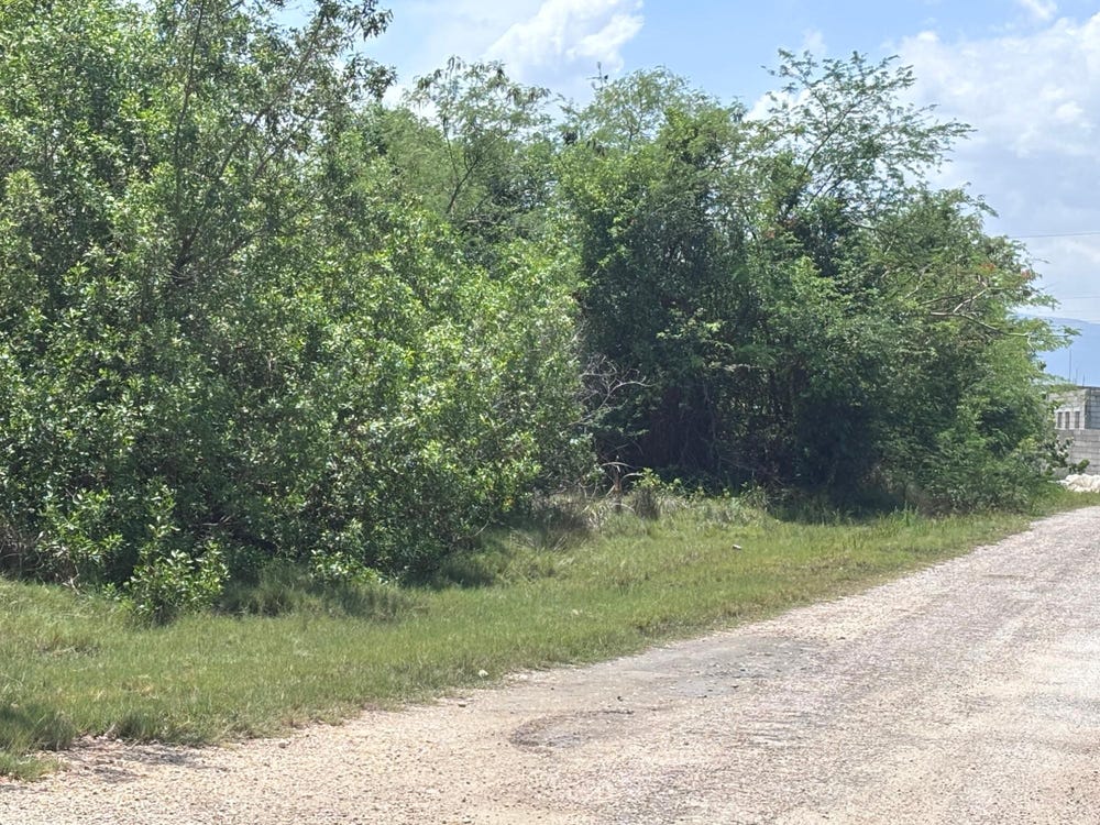 PAROTTEE, ST. ELIZABETH