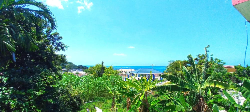 LYNFRED MANOR, HOPEWELL