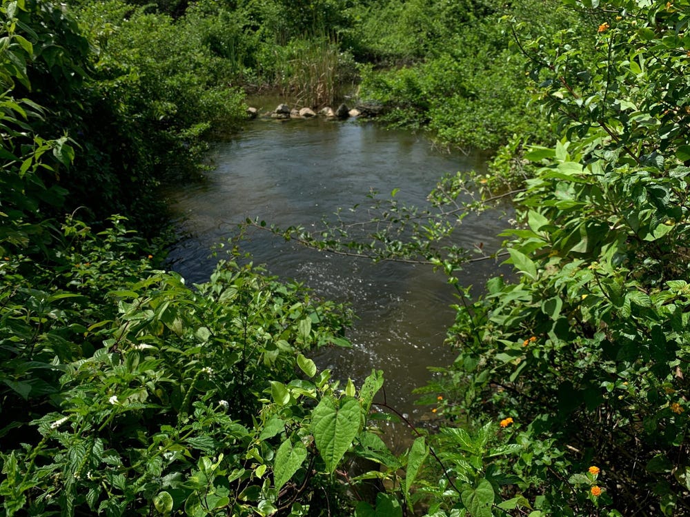 SMITHFIELD lot: 4, Savanna-La-Mar, Westmoreland