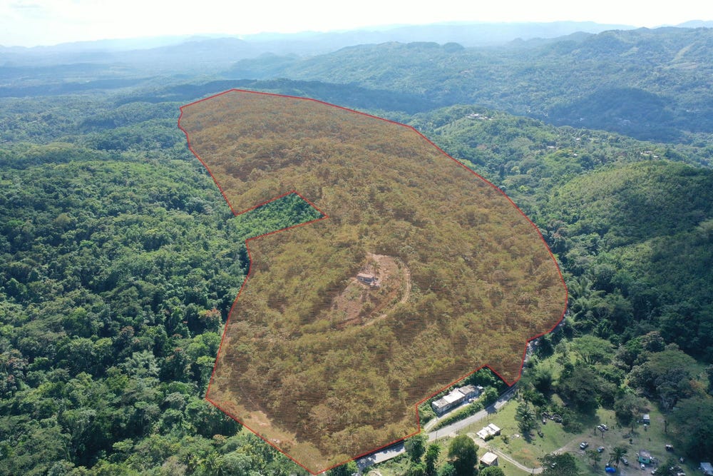 EDEN ESTATE, Mount Carey, St. James