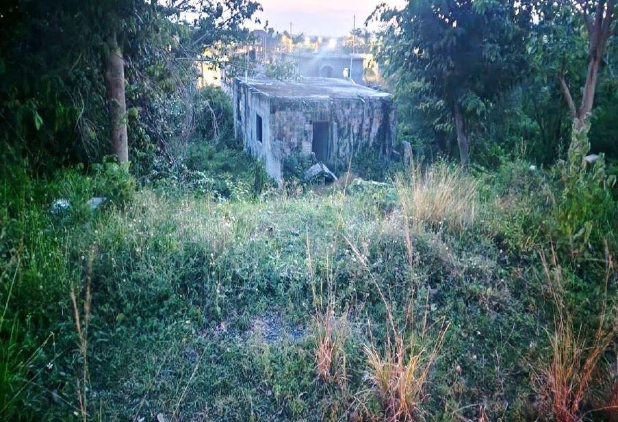 LUANA PEN, ST. ELIZABETH, Black River, St. Elizabeth