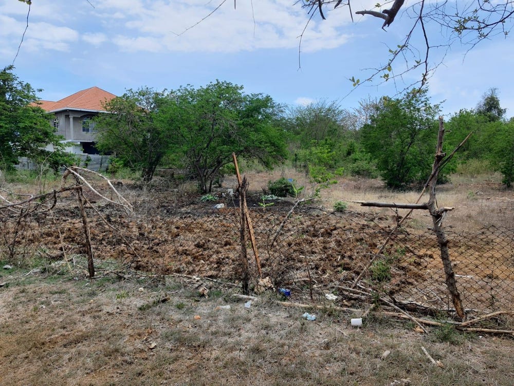 PART OF PALMETTO PEN, CLA