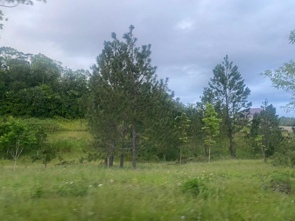 MOORELANDS MANOR, MANDEVI