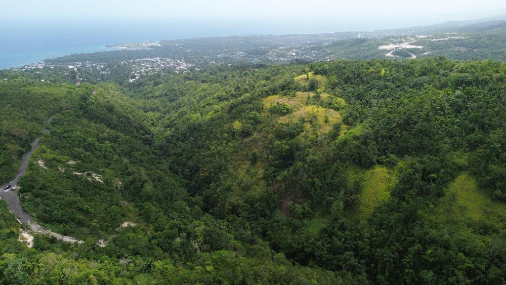 SUSSEX unit: 1B, St. Ann's Bay, St. Ann