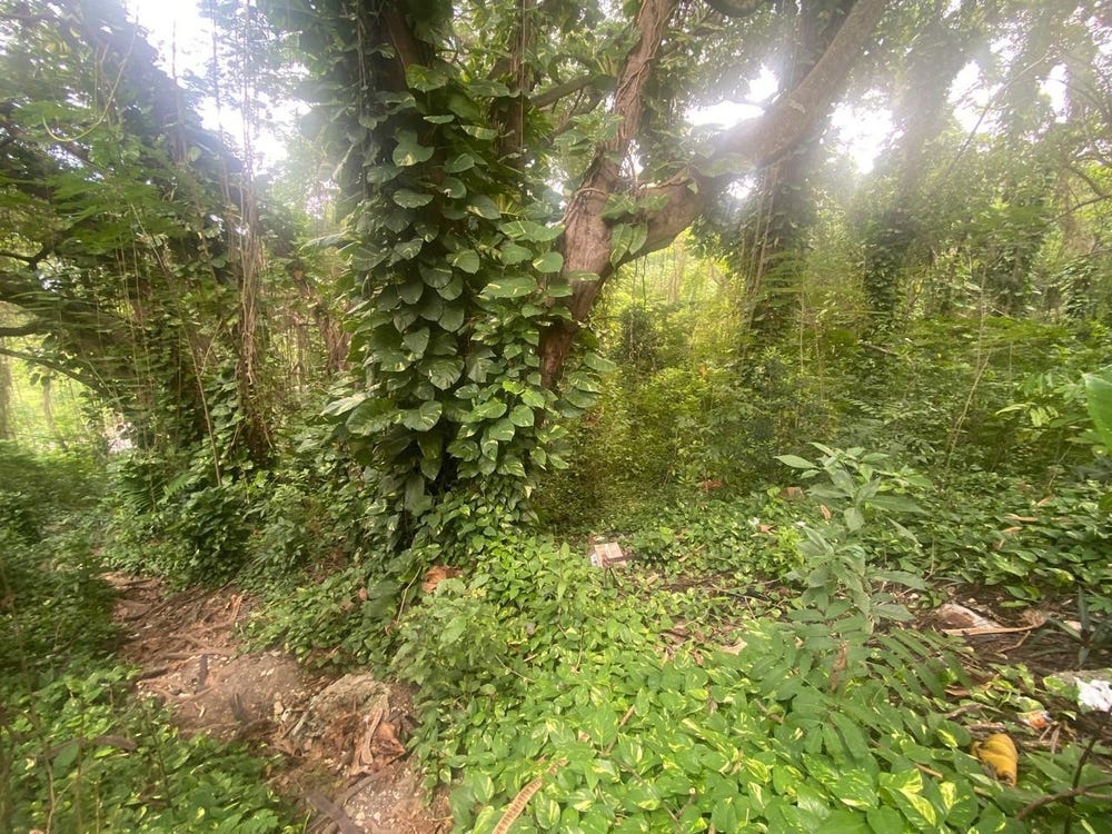 OLD HOTEL ROAD, SHAW PARK