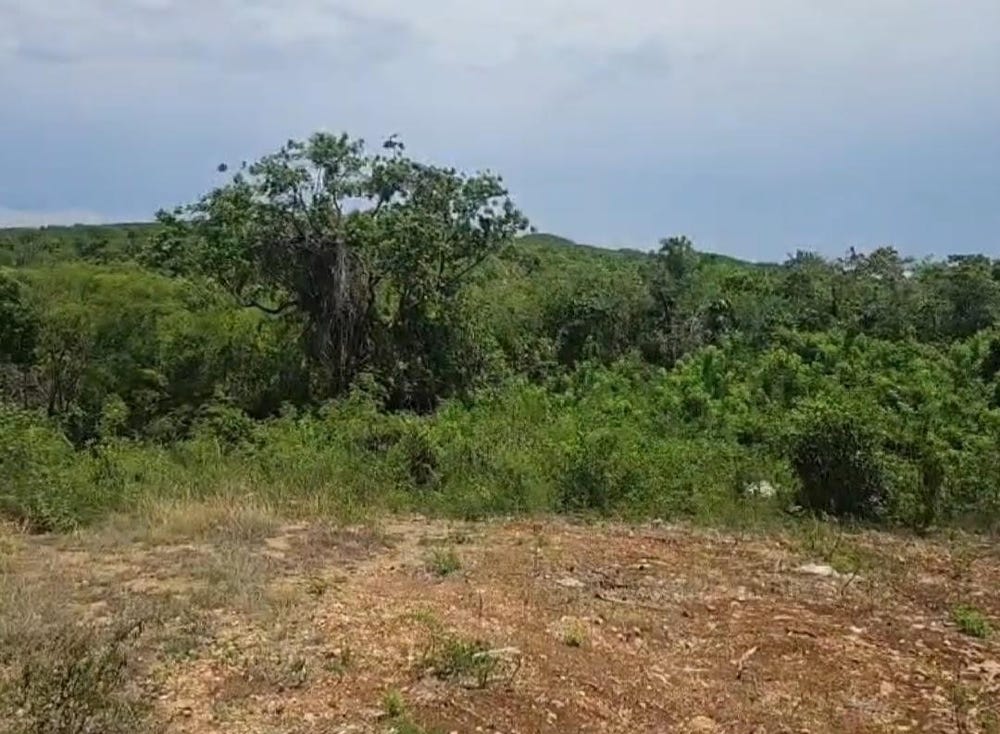 8A SEVENS PLANTATION, Sevens, Clarendon