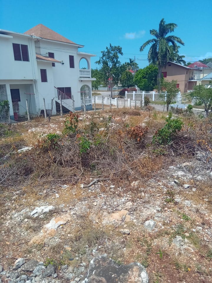 WEST LOOP ROAD MANGO WALK