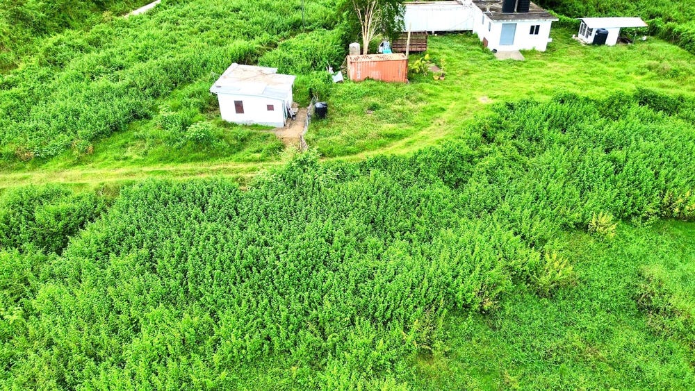 BURNT GROUND, HANOVER