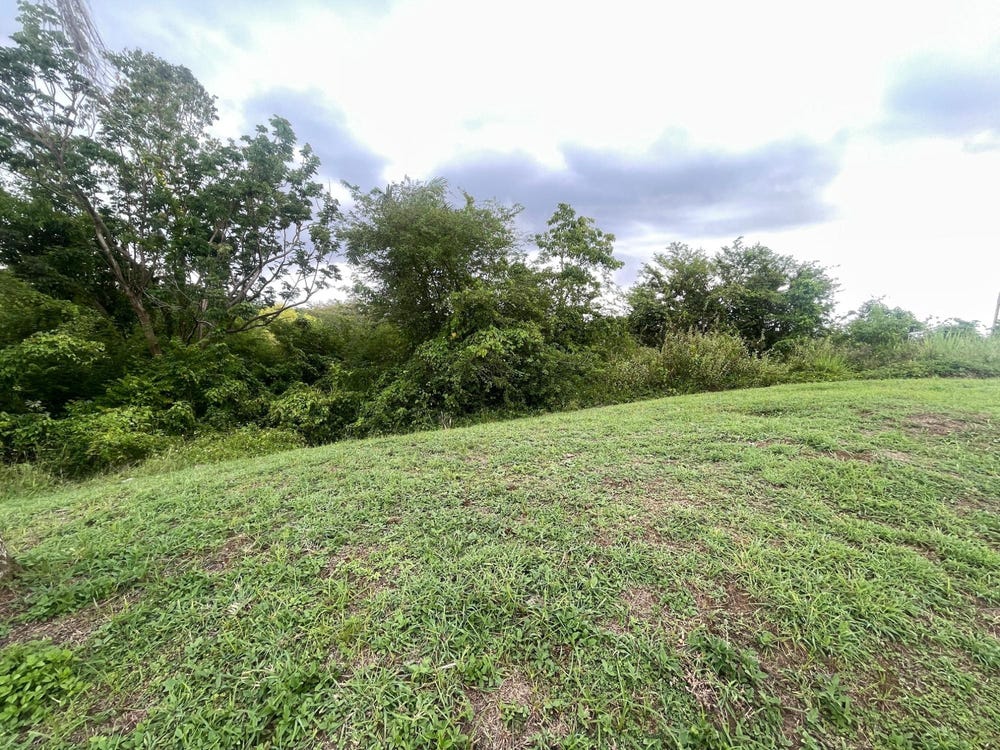 8 NEGRIL ESTATES (JAMAICA A, Negril, Westmoreland