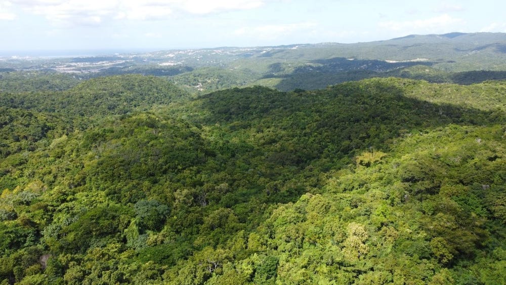 GLENDALE HEIGHTS, SIGN