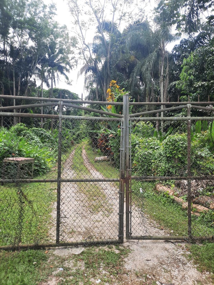 TEMPLE HALL, Red Hills, St. Andrew