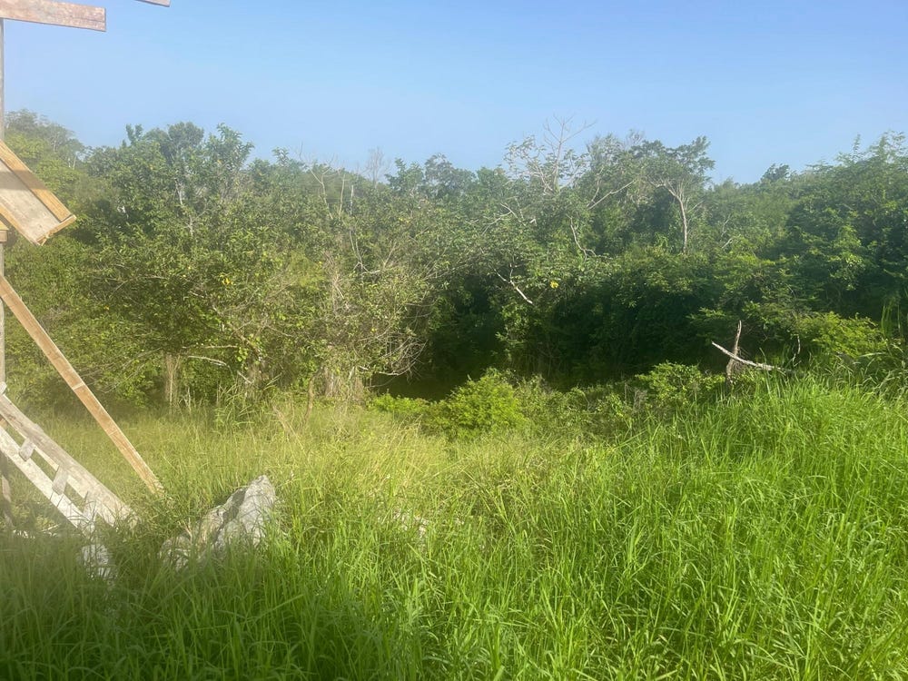 341 MOORLANDS MANOR (PH 3A), Mandeville, Manchester