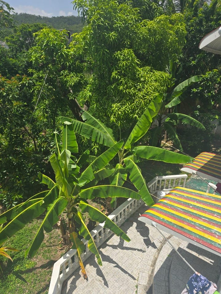 62 COLUMBUS DRIVE, Mammee Bay, St. Ann