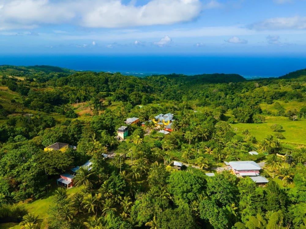 H'EVANS SCENT, Free Hill, St. Ann