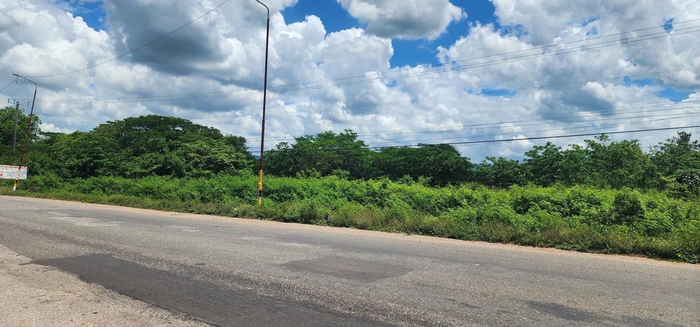 Sheckles Drive, Four Paths, Clarendon