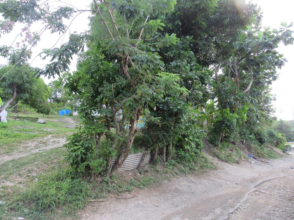 PART OF DALVEY, ST. THOMA