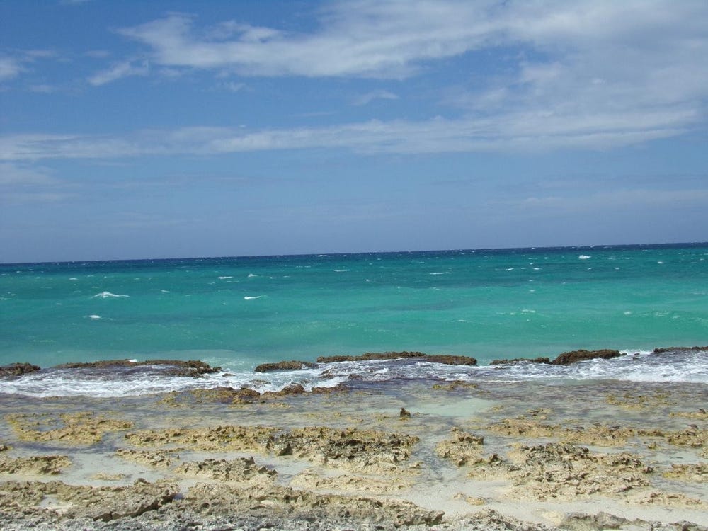 THE DOLPHIN lot: 179, Duncans, Trelawny