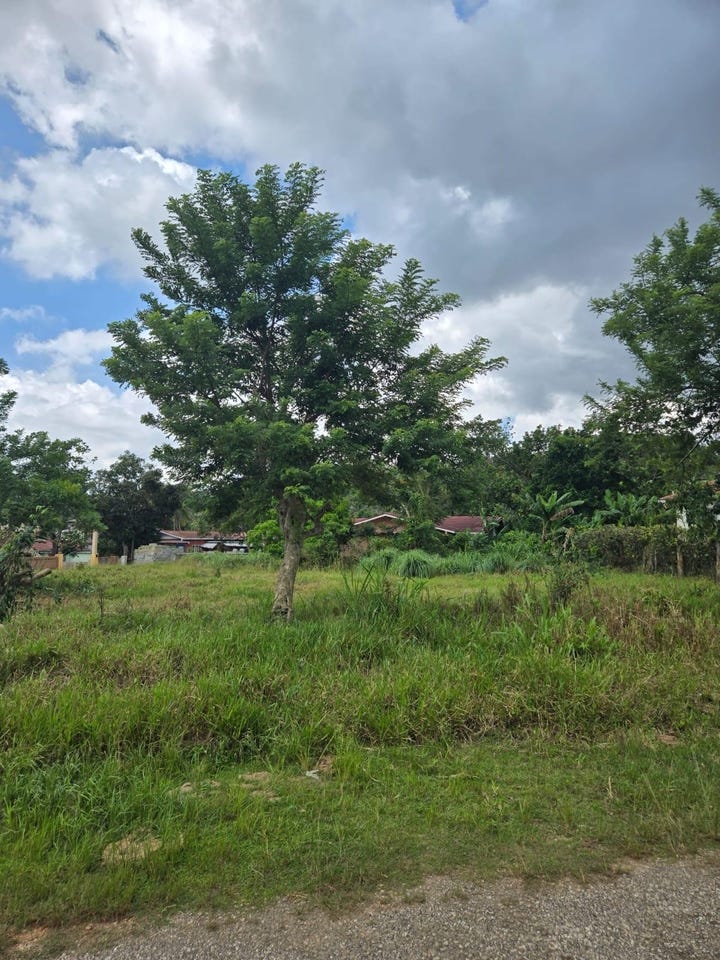 PICADILLY DRIVE, CALEDONI