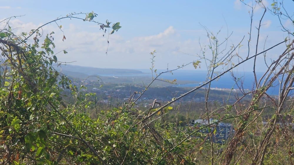CMWV+P7, Runaway Bay, St. Ann Parish