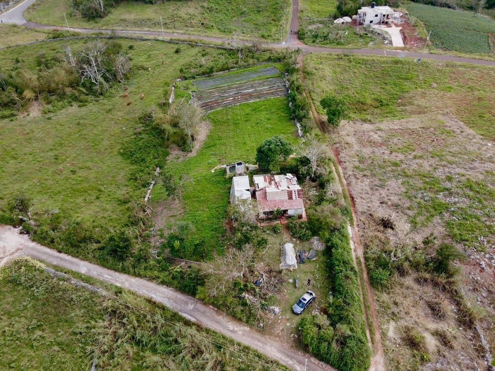 DALEYS GROVE KNOCK PATRIC