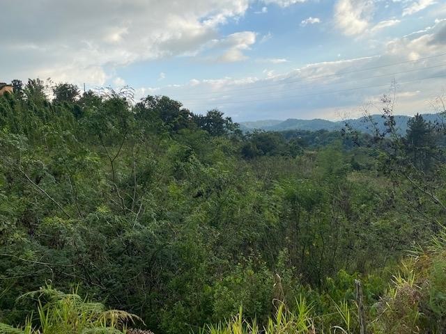 LAND PART OF TROY, Troy, Trelawny