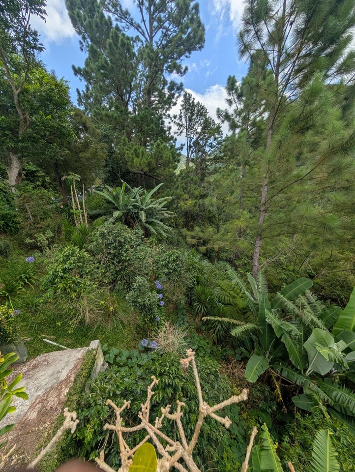 Irish Town P.A., St. Andrew Parish