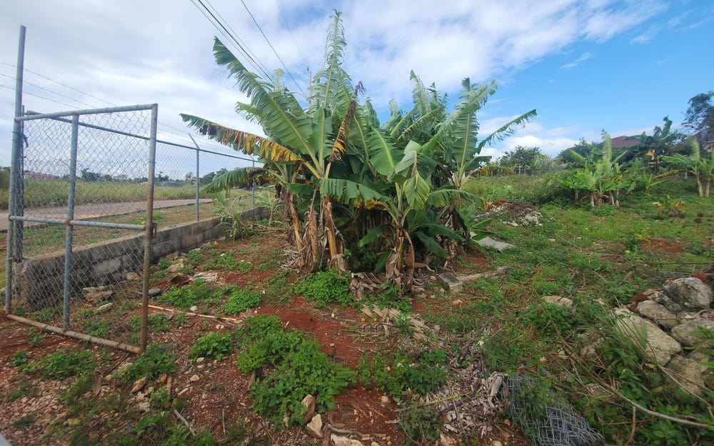 53 AVONDALE HEIGHTS, Cedar Grove, Manchester