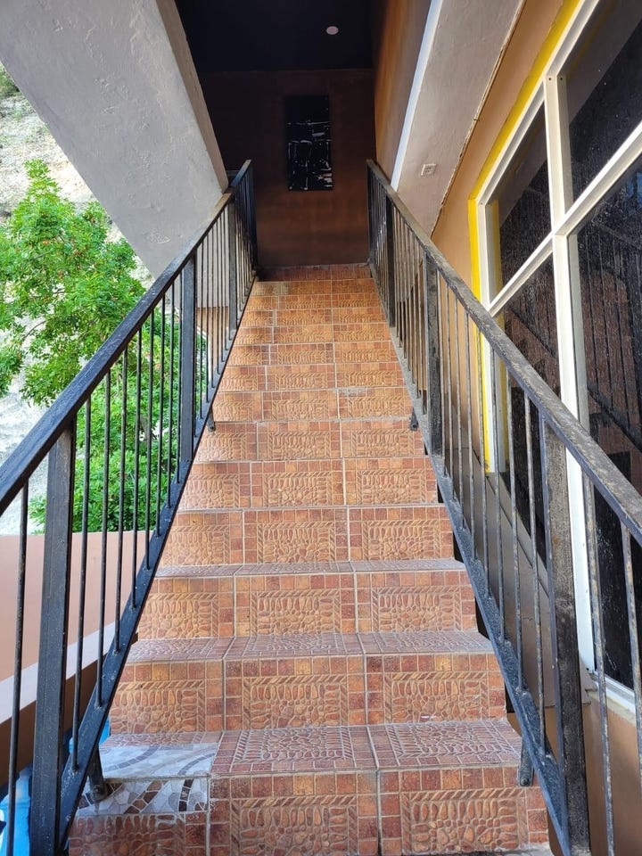 CONGREVE PARK, PORT HENDE