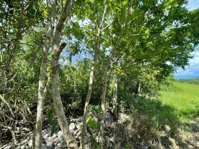 PART OF UPPER WARMINSTER