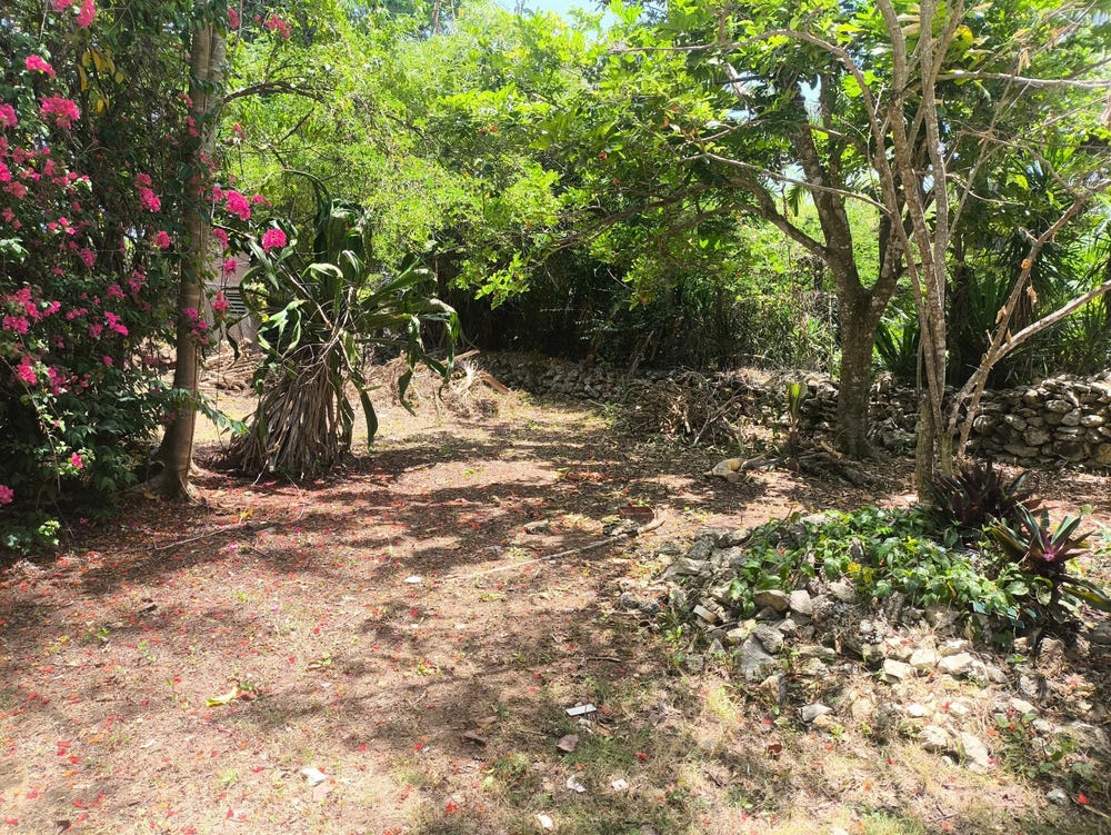 HYLTON AVENUE, WESTEND, Negril, Westmoreland