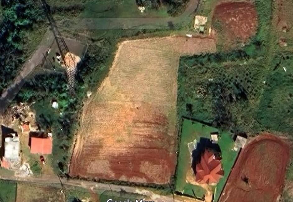 4 POTSDAM, ST ELIZABETH, Munroe College, St. Elizabeth