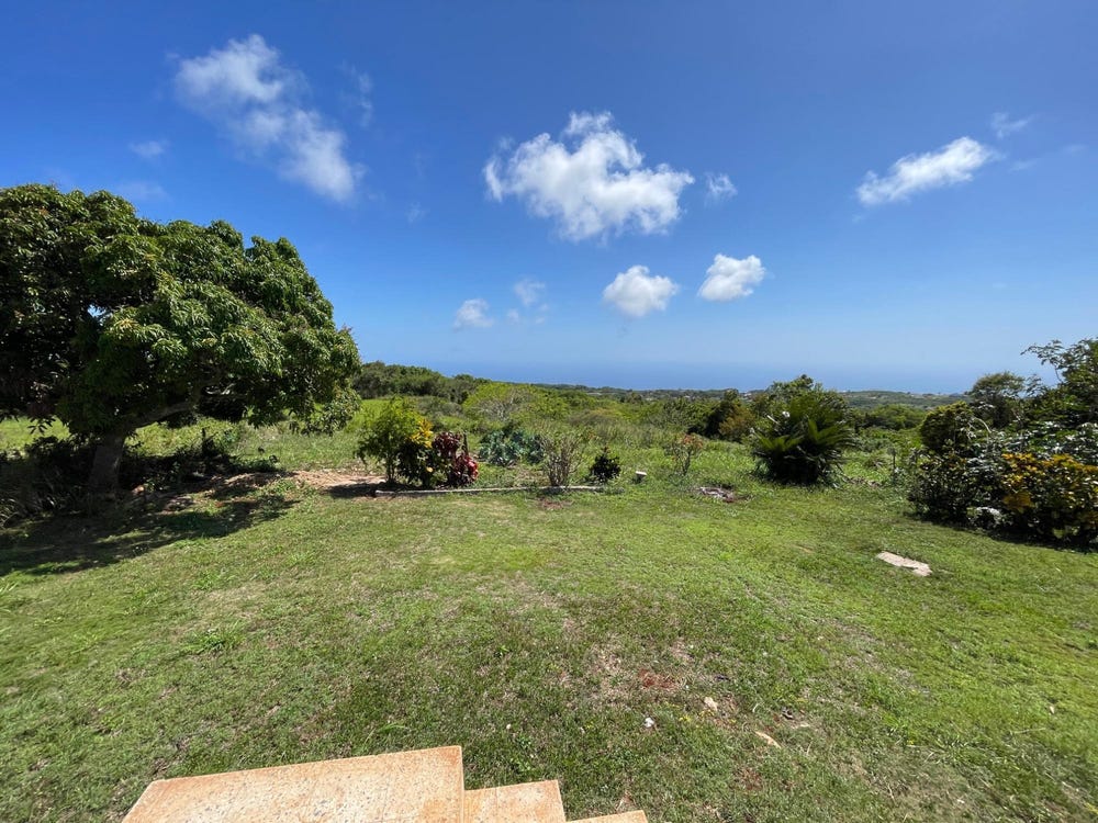 BELLEVUE, SOUTHFIELD